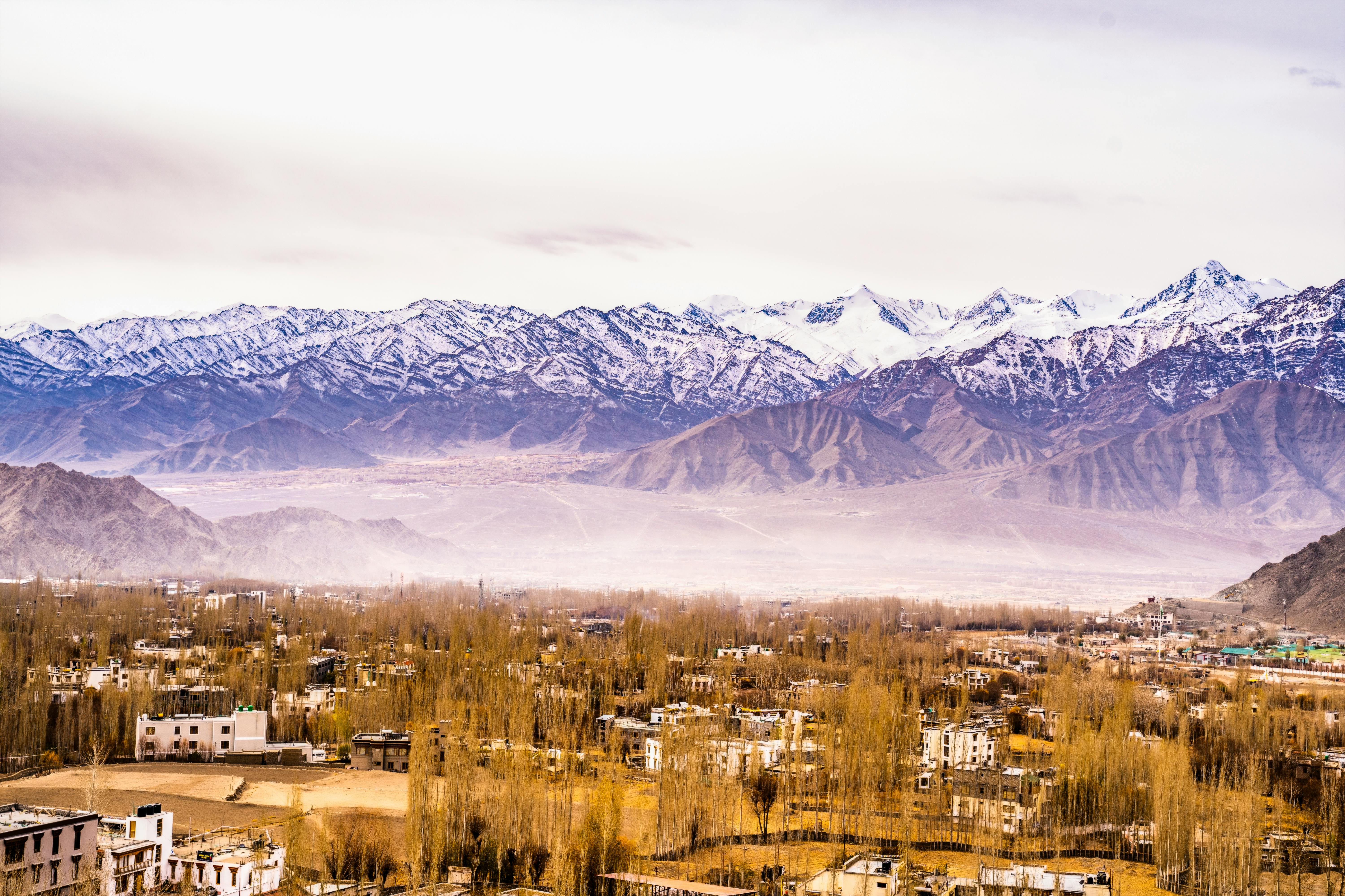 The Invisible Journey: Why Your 'Wild-Sourced' Ingredients Have a Transparency Problem