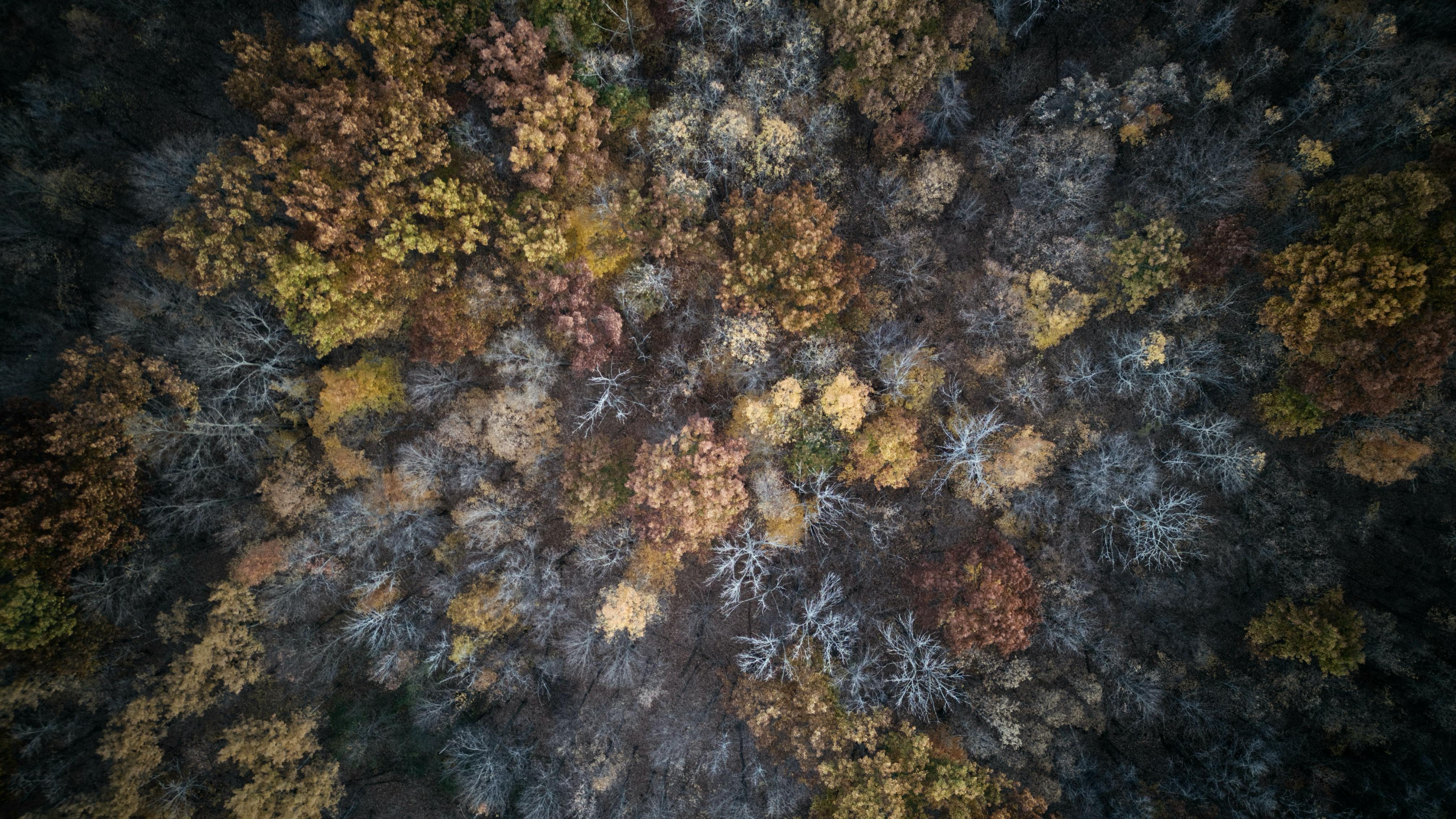 The Economic Impact of Fair Trade Verification